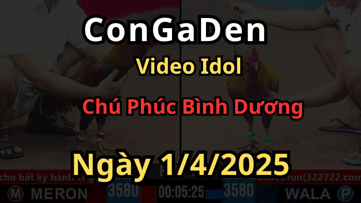 Các trận gà của Chú Phúc Bình Dương ở cpc3 hôm nay ngày 1/4/2025