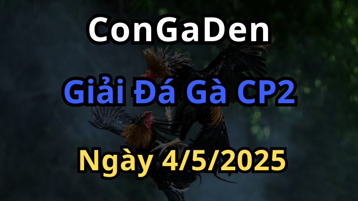 Giải Đá Gà Trực Tiếp CPC2 Tự Do Ngày 4/5/2025