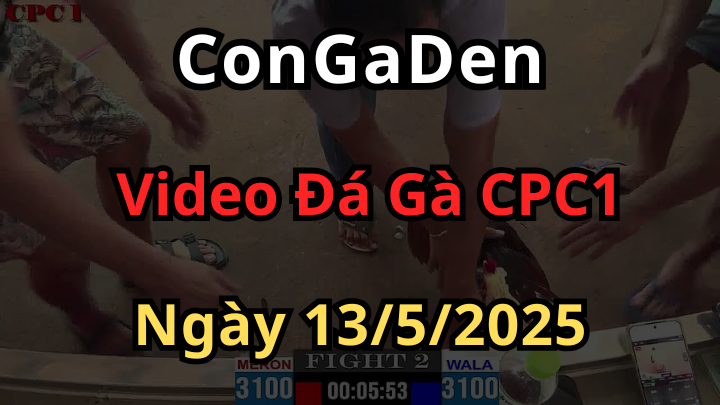 Phát lại Đá Gà Trực Tiếp Thomo CPC1 ngày 13/4/2025