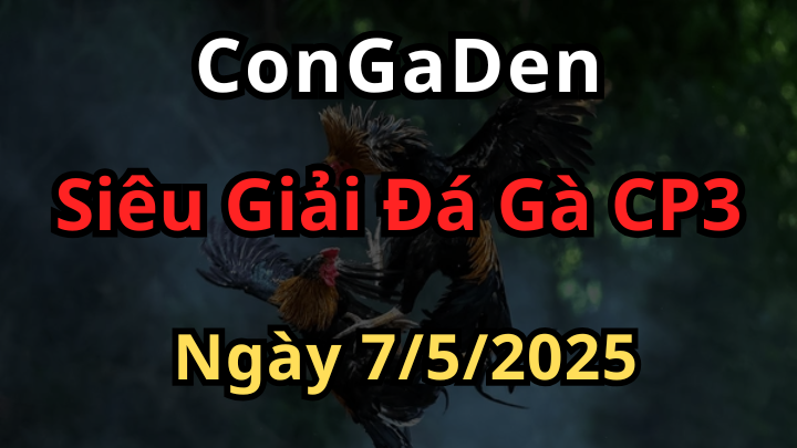Siêu Giải Đá Gà CPC3 Ngày 7/5/2025 Lên đến 10 tỷ đồng